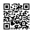 Lossless Scaling v3.2.0绿色版-趣奇资源网-第11张图片